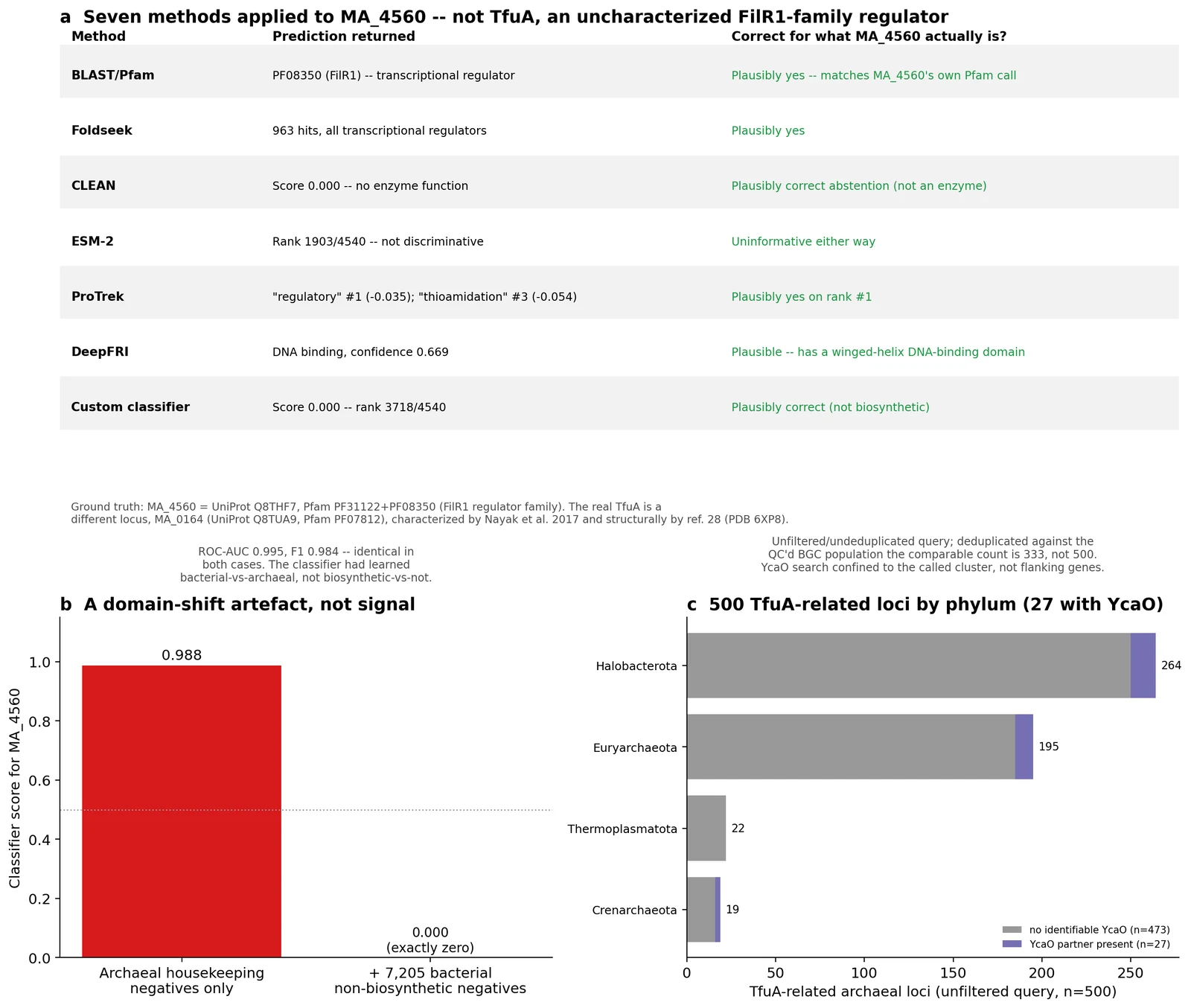 A training-population artefact in biosynthetic-protein classification and TfuA-related loci by phylum