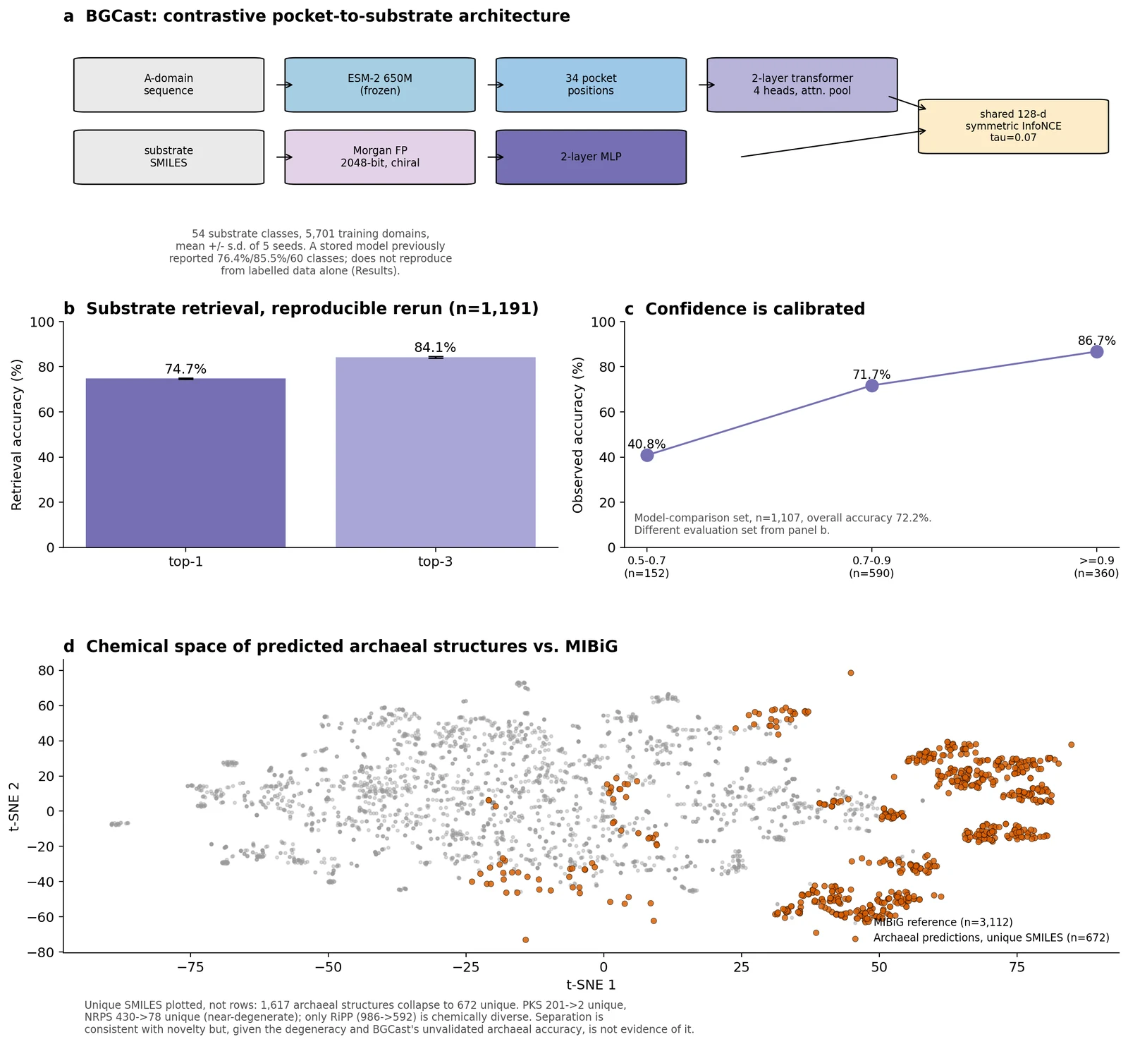 BGCast architecture and retrieval accuracy on the held-out split
